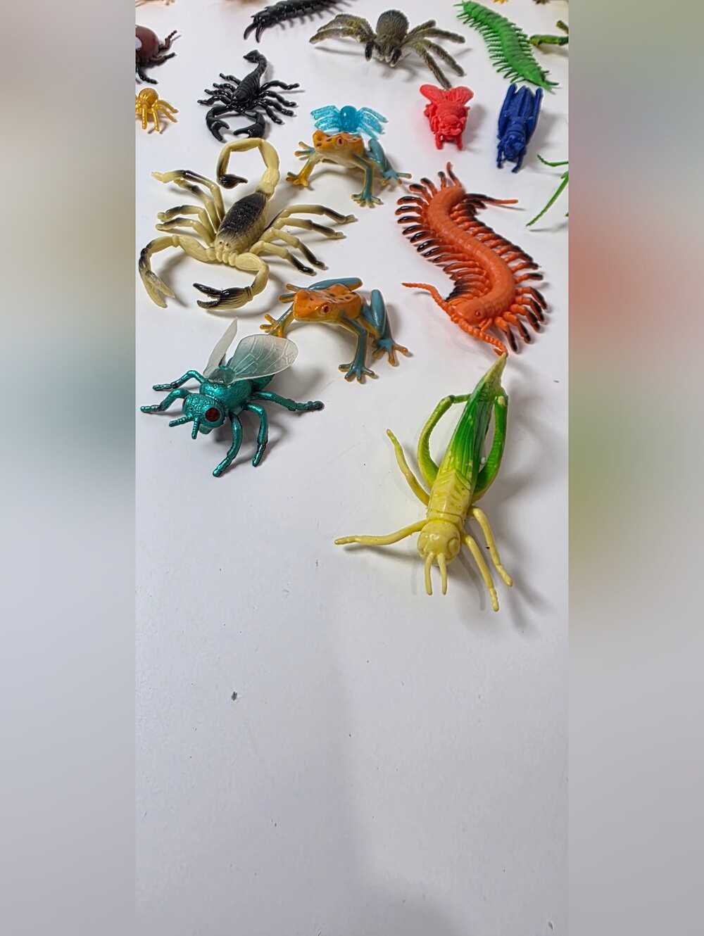 Mixed Color Frogs & Insect Lot - Picture 5 of 6